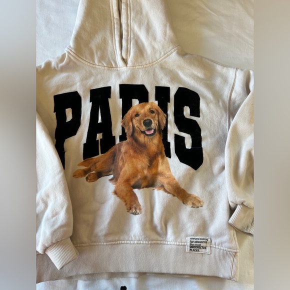 Zara kids Golden Retriever Paris Hoodie size 9 - Picture 2 of 13